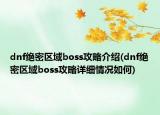 dnf绝密区域boss攻略介绍(dnf绝密区域boss攻略详细情况如何)