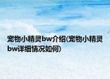 宠物小精灵bw介绍(宠物小精灵bw详细情况如何)