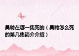 吴聘在哪一集死的（吴聘怎么死的第几集简介介绍）