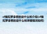 cf曼陀罗拿着的是什么枪介绍(cf曼陀罗拿着的是什么枪详细情况如何)