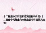十二星座中天秤座和摩羯座配吗介绍(十二星座中天秤座和摩羯座配吗详细情况如何)