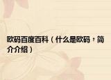 欧码百度百科（什么是欧码﹖简介介绍）
