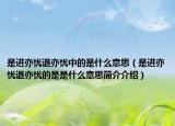 是进亦忧退亦忧中的是什么意思（是进亦忧退亦忧的是是什么意思简介介绍）