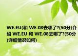 WE.EU(和 WE.08去哪了?(50分)介绍 WE.EU 和 WE.08去哪了?(50分)详细情况如何)