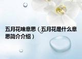 五月花啥意思（五月花是什么意思简介介绍）