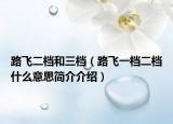 路飞二档和三档（路飞一档二档什么意思简介介绍）