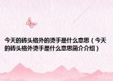 今天的砖头格外的烫手是什么意思（今天的砖头格外烫手是什么意思简介介绍）