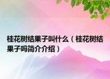 桂花树结果子叫什么（桂花树结果子吗简介介绍）