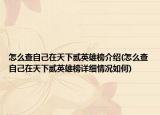 怎么查自己在天下贰英雄榜介绍(怎么查自己在天下贰英雄榜详细情况如何)