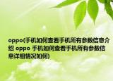 oppo(手机如何查看手机所有参数信息介绍 oppo 手机如何查看手机所有参数信息详细情况如何)