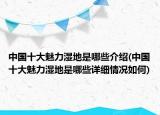 中国十大魅力湿地是哪些介绍(中国十大魅力湿地是哪些详细情况如何)