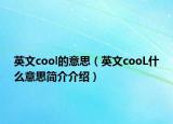 英文cool的意思（英文cooL什么意思简介介绍）
