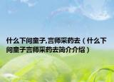 什么下问童子,言师采药去（什么下问童子言师采药去简介介绍）