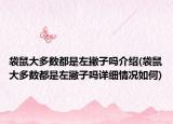 袋鼠大多数都是左撇子吗介绍(袋鼠大多数都是左撇子吗详细情况如何)