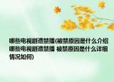 哪些电视剧遭禁播(被禁原因是什么介绍 哪些电视剧遭禁播 被禁原因是什么详细情况如何)