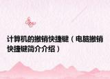 计算机的撤销快捷键（电脑撤销快捷键简介介绍）