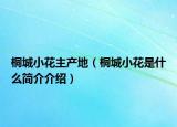 桐城小花主产地（桐城小花是什么简介介绍）