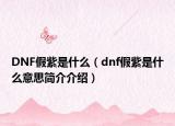 DNF假紫是什么（dnf假紫是什么意思简介介绍）