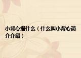 小背心指什么（什么叫小背心简介介绍）