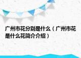 广州市花分别是什么（广州市花是什么花简介介绍）
