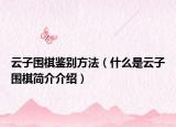 云子围棋鉴别方法（什么是云子围棋简介介绍）
