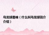 乌龙球是啥（什么叫乌龙球简介介绍）