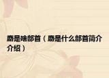 麝是啥部首（麝是什么部首简介介绍）