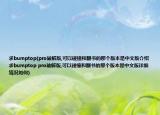 求bumptop(pro破解版,可以碰撞和翻书的那个版本是中文版介绍 求bumptop pro破解版,可以碰撞和翻书的那个版本是中文版详细情况如何)