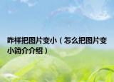 咋样把图片变小（怎么把图片变小简介介绍）