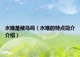水雉是候鸟吗（水雉的特点简介介绍）