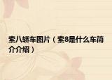 索八轿车图片（索8是什么车简介介绍）
