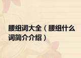 腰组词大全（腰组什么词简介介绍）