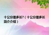 十公分是多长?（十公分是多长简介介绍）