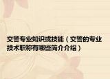 交警专业知识或技能（交警的专业技术职称有哪些简介介绍）
