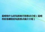 昆明有什么好玩的地方和景点介绍（昆明市区有哪些好玩的景点简介介绍）