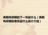 黄鹂鸣翠柳的下一句是什么（黄鹂鸣翠柳的意思是什么简介介绍）