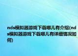 nds模拟器游戏下载哪儿有介绍(nds模拟器游戏下载哪儿有详细情况如何)