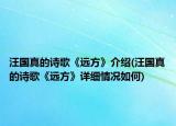 汪国真的诗歌《远方》介绍(汪国真的诗歌《远方》详细情况如何)