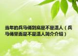 当年的兵马俑到底是不是活人（兵马俑里面是不是活人简介介绍）