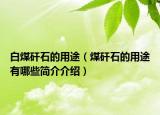 白煤矸石的用途（煤矸石的用途有哪些简介介绍）