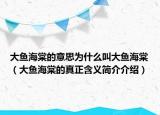 大鱼海棠的意思为什么叫大鱼海棠（大鱼海棠的真正含义简介介绍）