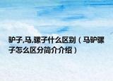 驴子,马,骡子什么区别（马驴骡子怎么区分简介介绍）