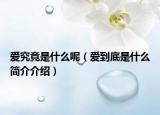 爱究竟是什么呢（爱到底是什么简介介绍）