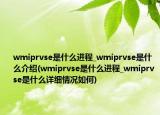 wmiprvse是什么进程_wmiprvse是什么介绍(wmiprvse是什么进程_wmiprvse是什么详细情况如何)