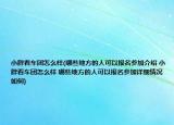小胖看车团怎么样(哪些地方的人可以报名参加介绍 小胖看车团怎么样 哪些地方的人可以报名参加详细情况如何)