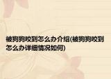被狗狗咬到怎么办介绍(被狗狗咬到怎么办详细情况如何)