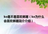 ko是不是喜欢郝眉（ko为什么会喜欢郝眉简介介绍）