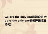 we(are the only one歌词介绍 we are the only one歌词详细情况如何)