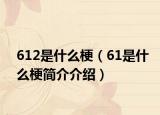 612是什么梗（61是什么梗简介介绍）