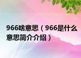 966啥意思（966是什么意思简介介绍）